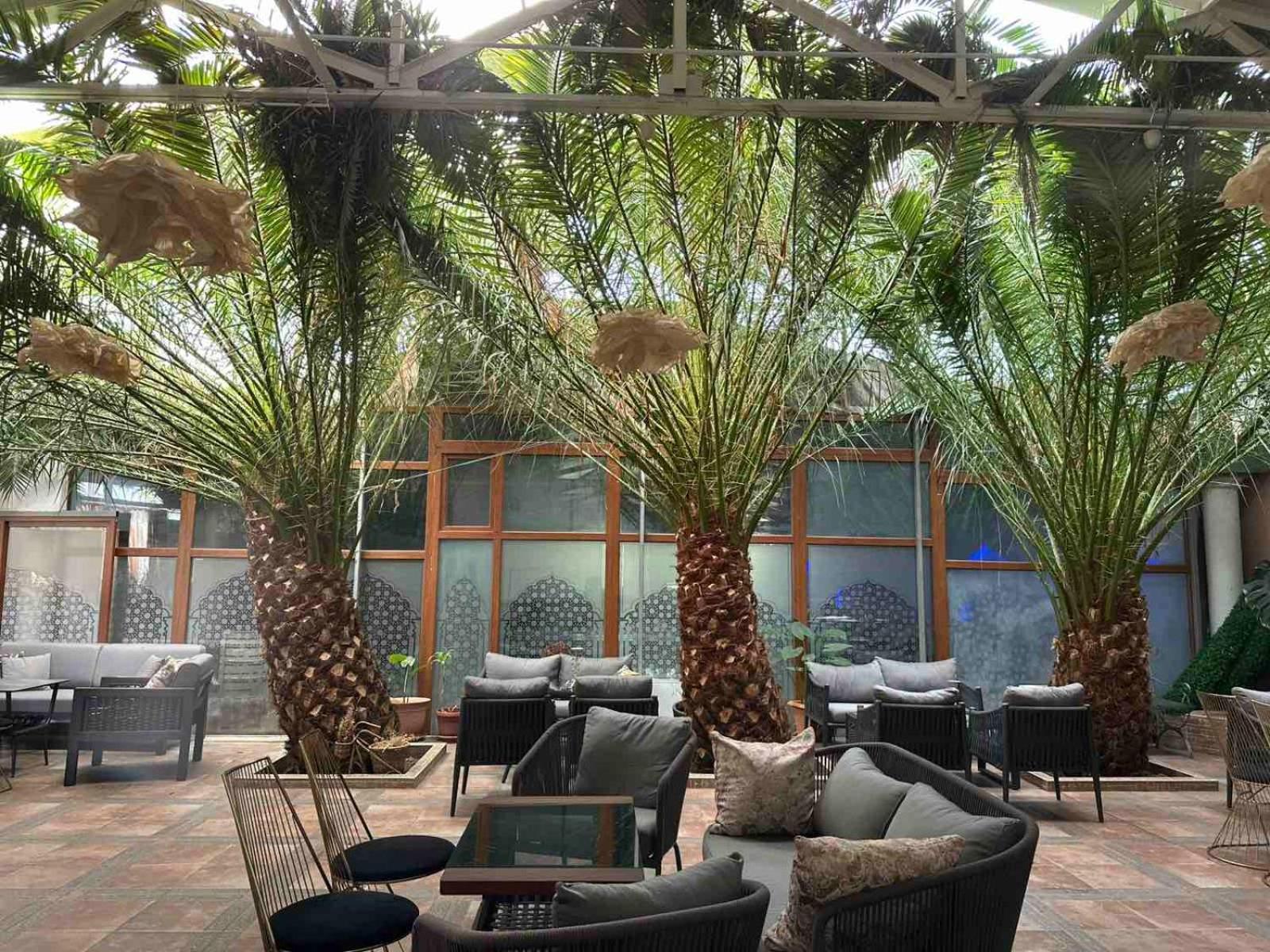 Hotel Bats Petrich  Extérieur photo